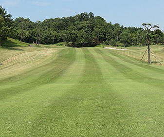 f0227321_10531950.jpg