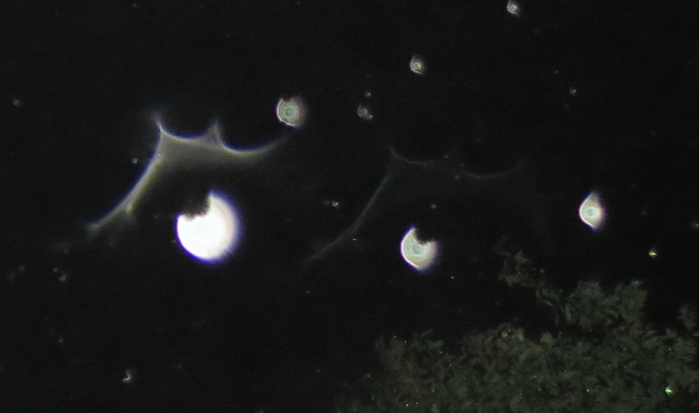 c0331825_12015337.jpg