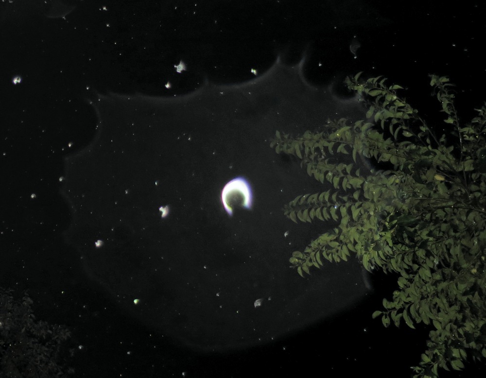 c0331825_12114714.jpg