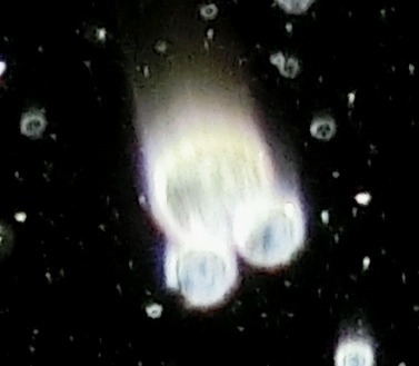 c0331825_12491469.jpg