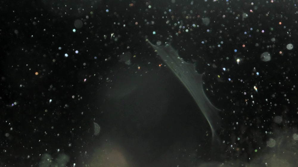 c0331825_12515534.jpg