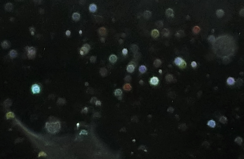 c0331825_12523189.jpg