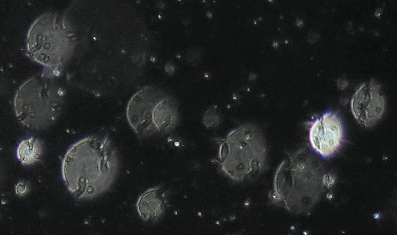 c0331825_13215643.jpg