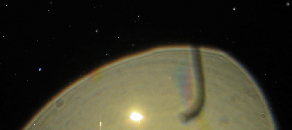 c0331825_13242298.jpg