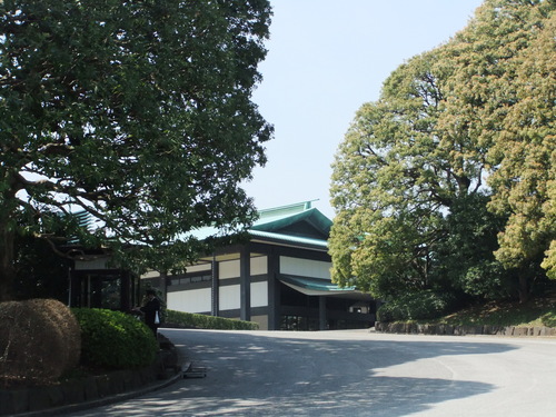 皇居乾通りの桜..花のお江戸でお花見！_b0137932_1914530.jpg