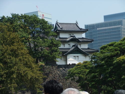 皇居乾通りの桜..花のお江戸でお花見！_b0137932_19163436.jpg