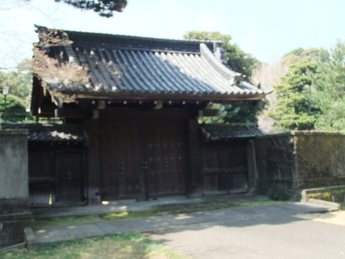 皇居乾通りの桜..花のお江戸でお花見！_b0137932_19222223.jpg