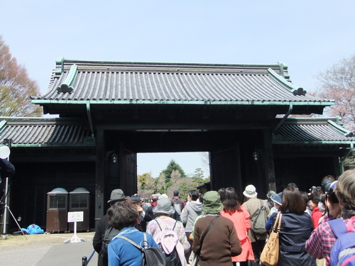 皇居乾通りの桜..花のお江戸でお花見！_b0137932_19301937.jpg