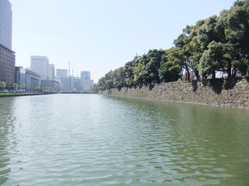 皇居乾通りの桜..花のお江戸でお花見！_b0137932_1935432.jpg