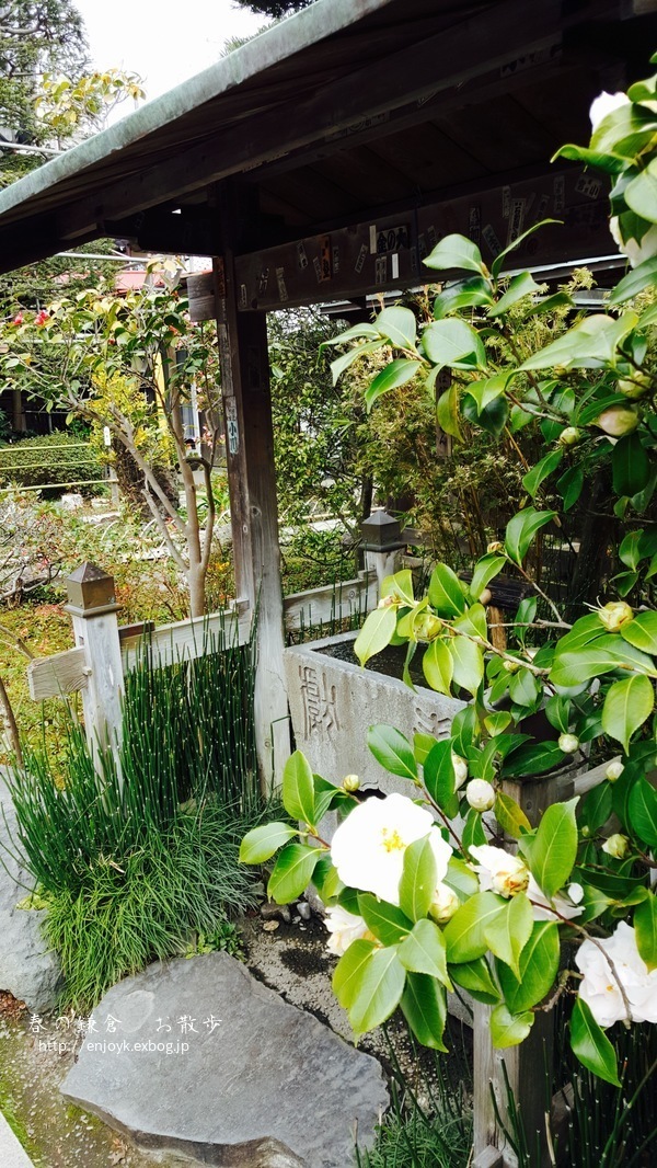 d0269832_08312830.jpeg