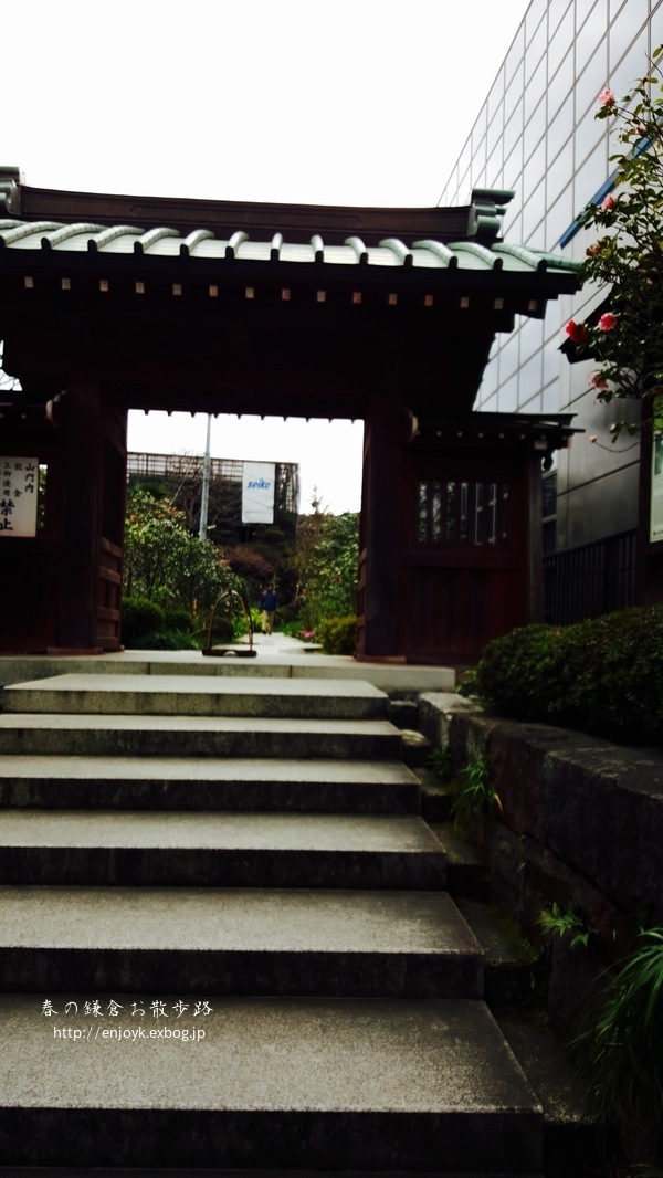 d0269832_08315195.jpeg