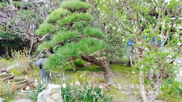 d0269832_08320869.jpeg