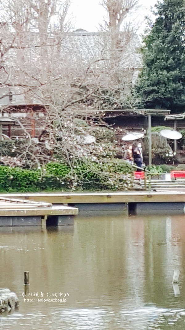 d0269832_08340919.jpeg