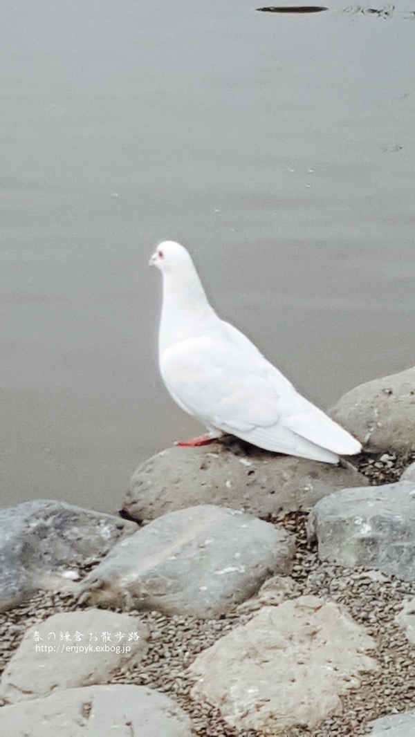 d0269832_08342851.jpeg