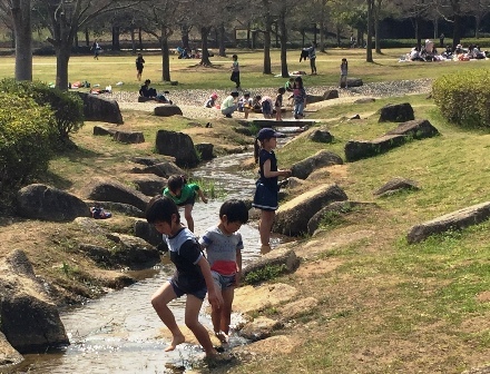 21世紀の森と広場 １ 常盤平から公園へ 散歩ガイド
