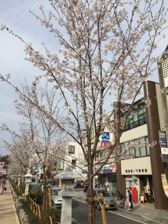 d0166343_21355992.jpeg