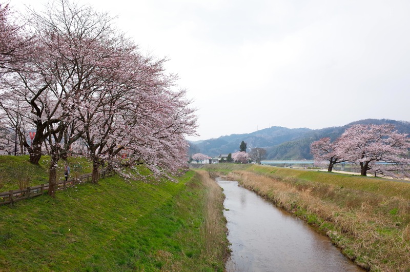 桜2016 木次_f0169147_19352961.jpg