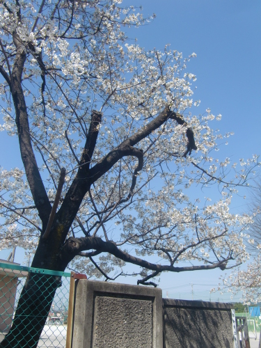 f0329849_22124086.jpg