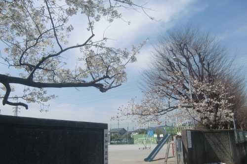 f0329849_22140120.jpg