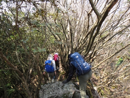 ２０１６年３月２７日　帆柱岳　一ノ宮岳　黒木岳　本多良岳　多良岳_c0179351_11355652.jpg