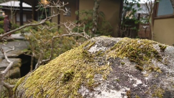 「心のお洗濯日」 高尾山 うかい竹亭のお庭 2016.3.28_d0347253_12162814.jpg