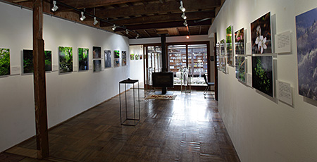 【お礼】 芦生原生林の博物誌 - 池田邦彦 写真展_e0113053_22263320.jpg