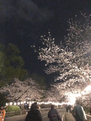 e0343253_21302699.jpg
