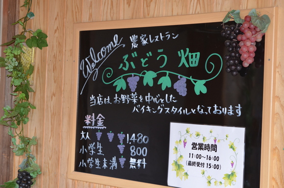 地元の人気店農家レストラン ぶどう畑 のブッフェランチ 新発田 月岡温泉美味美肌の旅14 あれも食べたい これも食べたい ｅｘ