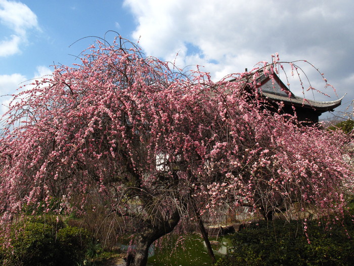 b0277257_18433868.jpg