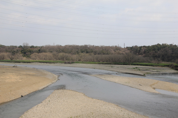 JR両毛線 絶景・・_d0202264_22403812.jpg
