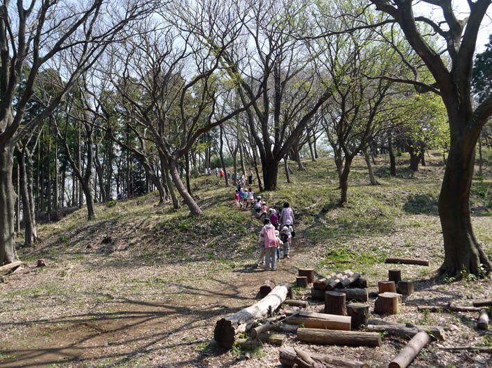 六国見山・夫婦桜の妻桜満開、ヤマツツジ開花3・31_c0014967_2264968.jpg