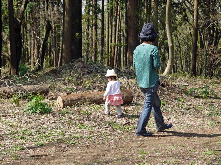 六国見山・夫婦桜の妻桜満開、ヤマツツジ開花3・31_c0014967_227259.jpg