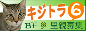 【３丁目こたま日記】おたま様の転載です。_a0348473_12405715.jpg