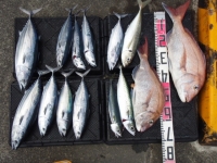旦那様の釣果【09.08.22】_a0348473_12475249.jpg