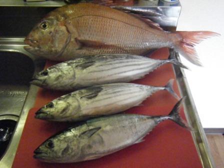 旦那様の釣果【09.08.22】_a0348473_12475375.jpg