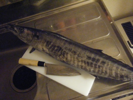 旦那様の釣果【09.10.04】_a0348473_12501770.jpg