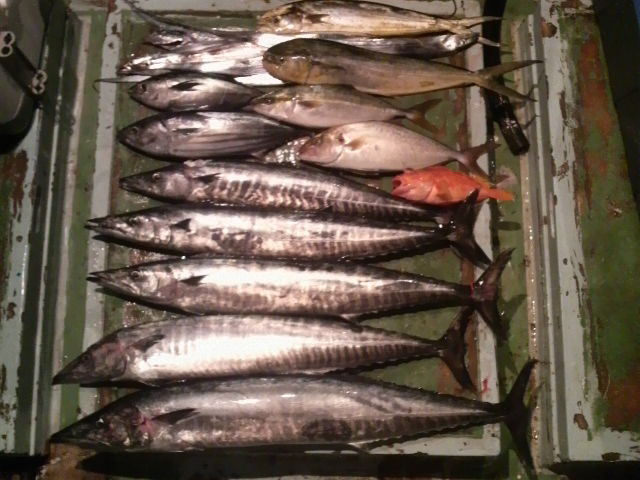 旦那様の釣果【09.10.04】_a0348473_12501828.jpg