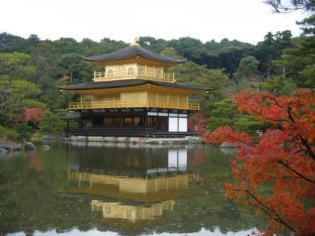 紅葉狩り＠金閣寺～妙心寺_a0348473_12502990.jpg