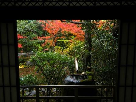 紅葉狩り＠金閣寺～妙心寺_a0348473_12503091.jpg