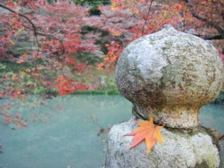 紅葉狩り＠兵庫県丹波市_a0348473_12510616.jpg