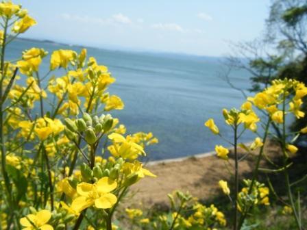 松江イングリッシュガーデンと旅の花たち。_a0348473_12592343.jpg