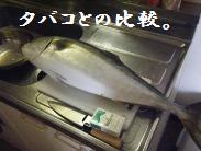 旦那様の釣果【10.07.30】_a0348473_13004051.jpg