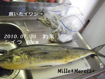 旦那様の釣果【10.07.30】_a0348473_13004165.jpg