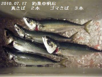 旦那様の釣果【10.07.17】と杏仁豆腐_a0348473_13010026.jpg