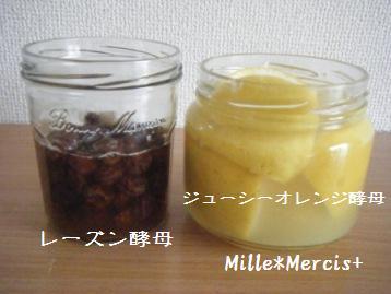 脱出☆酵母(ノ´▽｀)ノ_a0348473_13012031.jpg