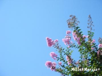 花子さんの空。。。_a0348473_13020267.jpg