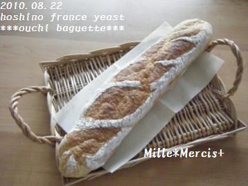 GR酵母＆ホシノF【へなちょこフランス】_a0348473_13020823.jpg