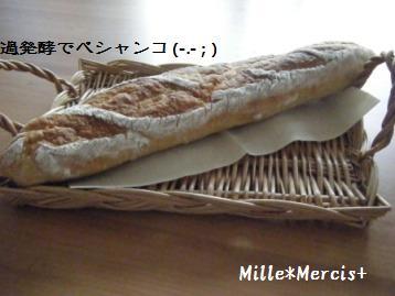 GR酵母＆ホシノF【へなちょこフランス】_a0348473_13020830.jpg