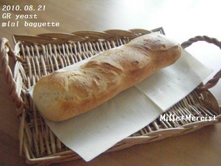 GR酵母＆ホシノF【へなちょこフランス】_a0348473_13020871.jpg