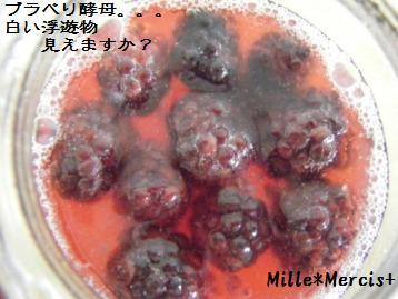 GR酵母＆ホシノF【へなちょこフランス】_a0348473_13020875.jpg